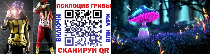 Галлюциногенные грибы Psilocybe  наркотики  Краснообск 